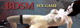 BDSM Sex Game
